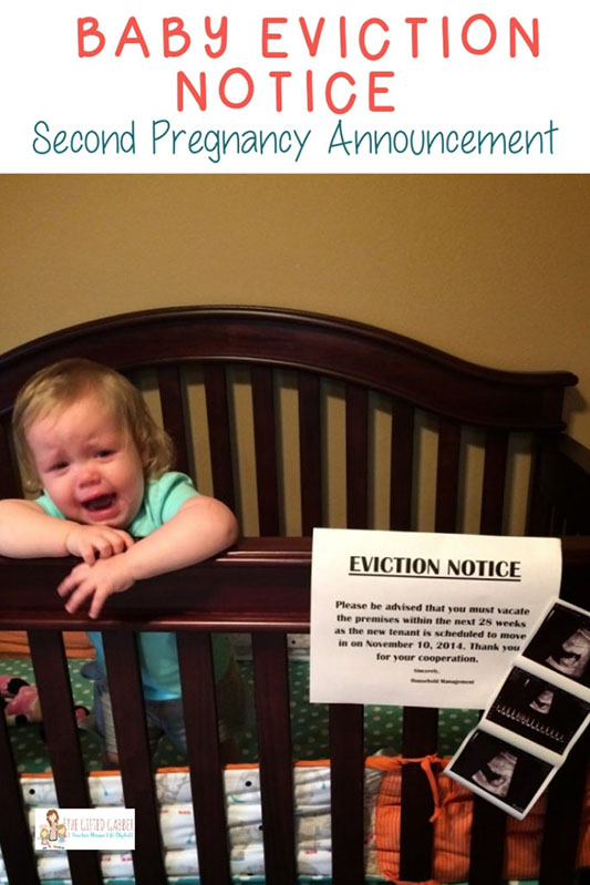 baby eviction notice pregnancy reveal