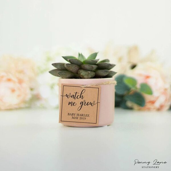 baby shower game gifts succulent pots