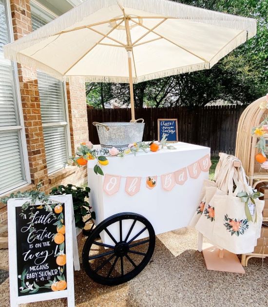 The Perfect Outdoor Baby Shower Setup